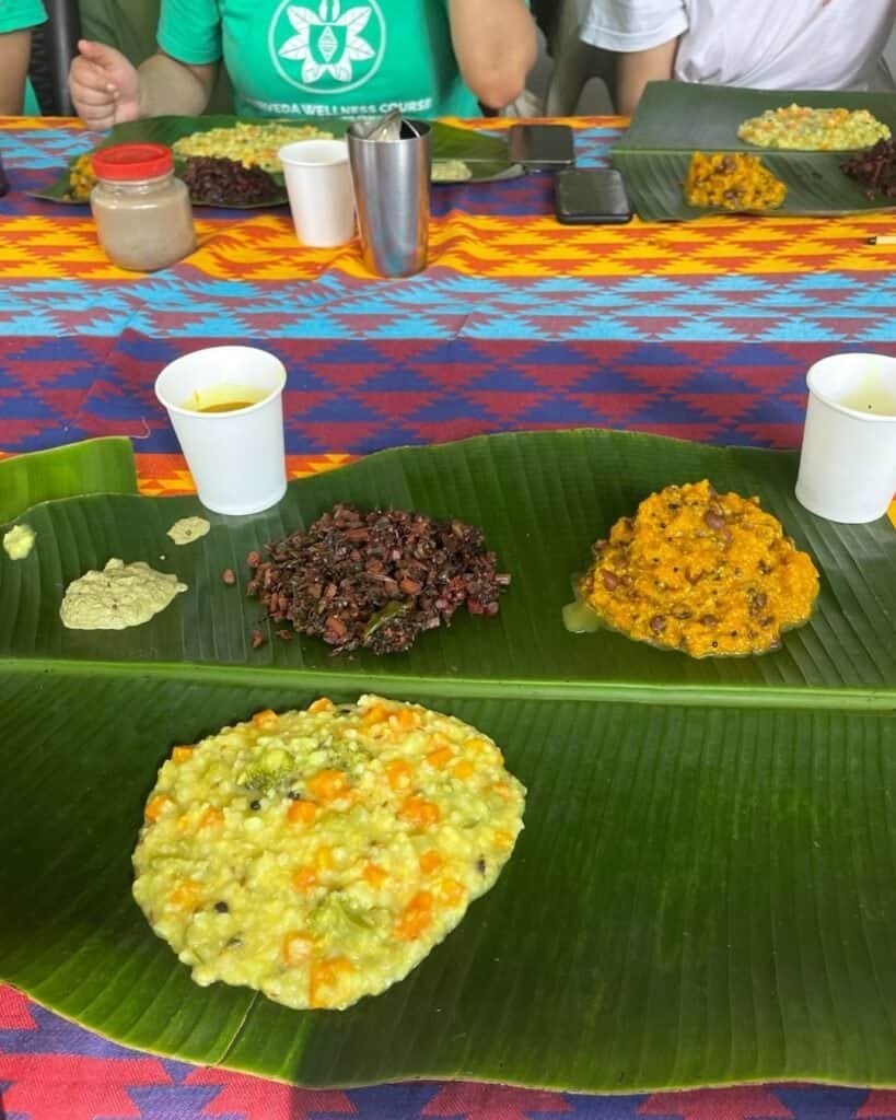 Steamed Indian thali with various lentil, vegetable, and rice dishes served on banana leaves for a traditional Ayurvedic meal.