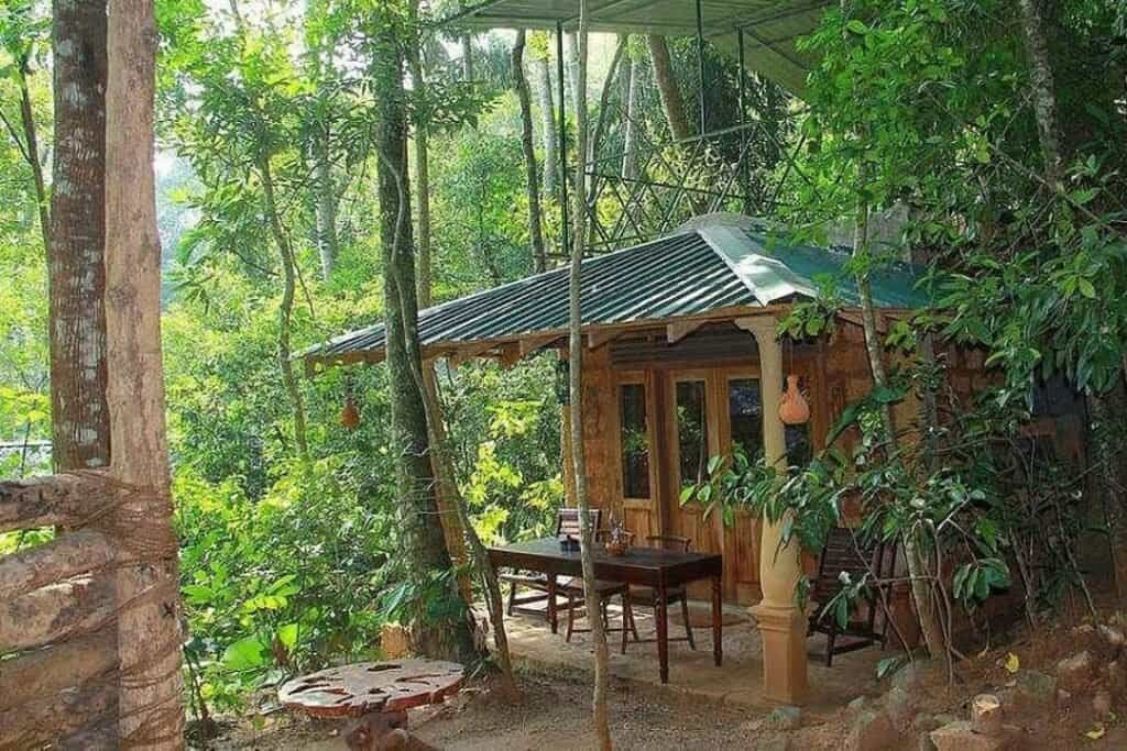3 Day Forest Yoga Retreat in Magical Sri Lanka