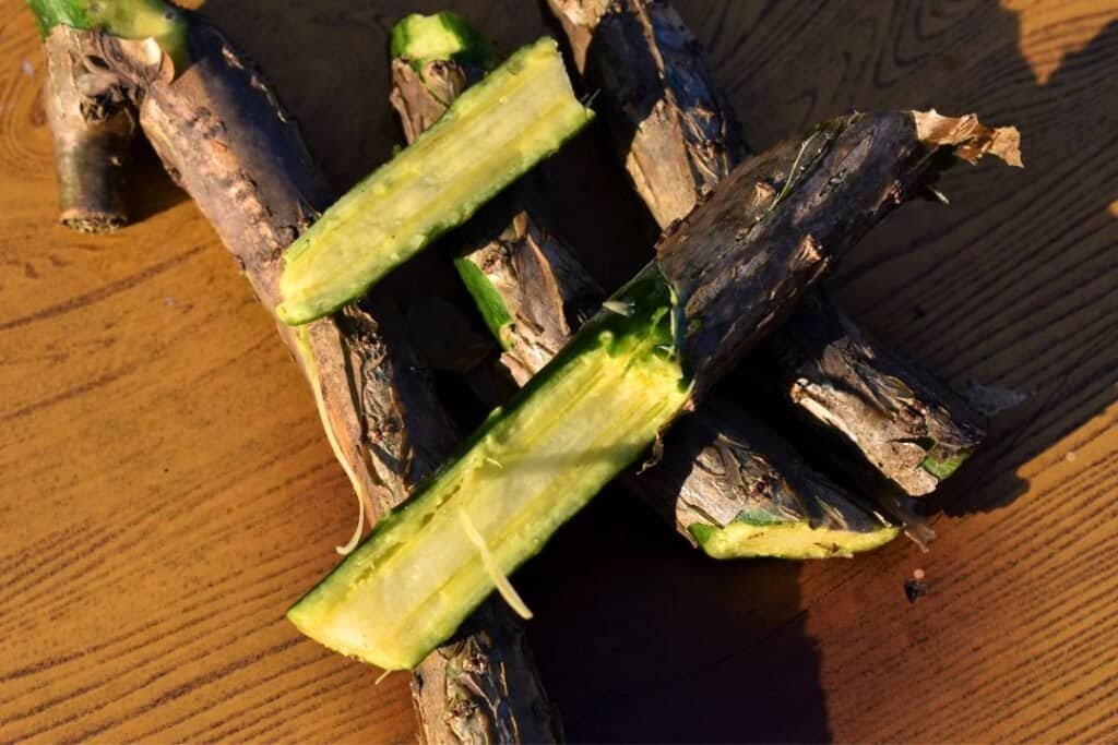 Guduchi slices on firewood, outdoor natural setting, reflecting rustic and fresh vibe, healthy and raw food display.
