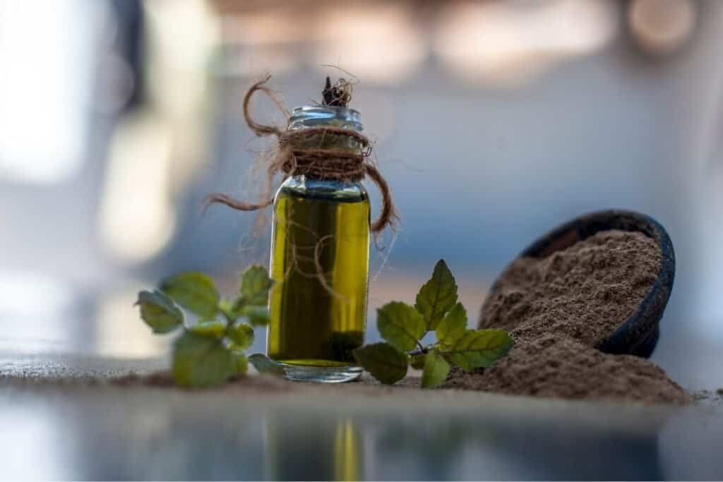 brahmi oil bottle with fresh mint leaves, herbal powder, and natural elements for holistic wellness and Ayurvedic practices.