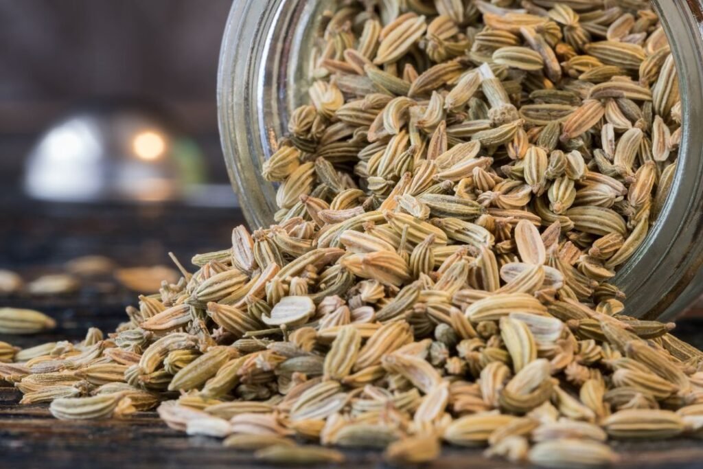 Fennel seeds used in Ayurvedic cooking to ease digestion