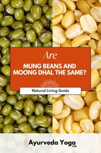 Are Mung Beans and Moong Dhal the Same